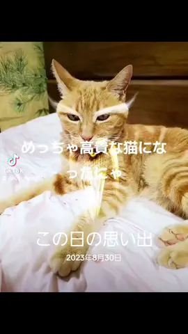 #思い出