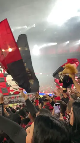 ☠️❤️🖤 #timedocoracao #viral_video 