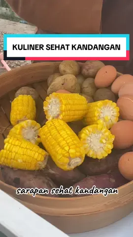 SARAPAN SEHAT KANDANGAN #sarapansehat #ubirebus #kulinersehat #viral#fyp