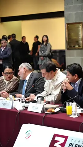 Mi intervención en la plenaria de Morena. #politica #morena #noroña #mexico🇲🇽 
