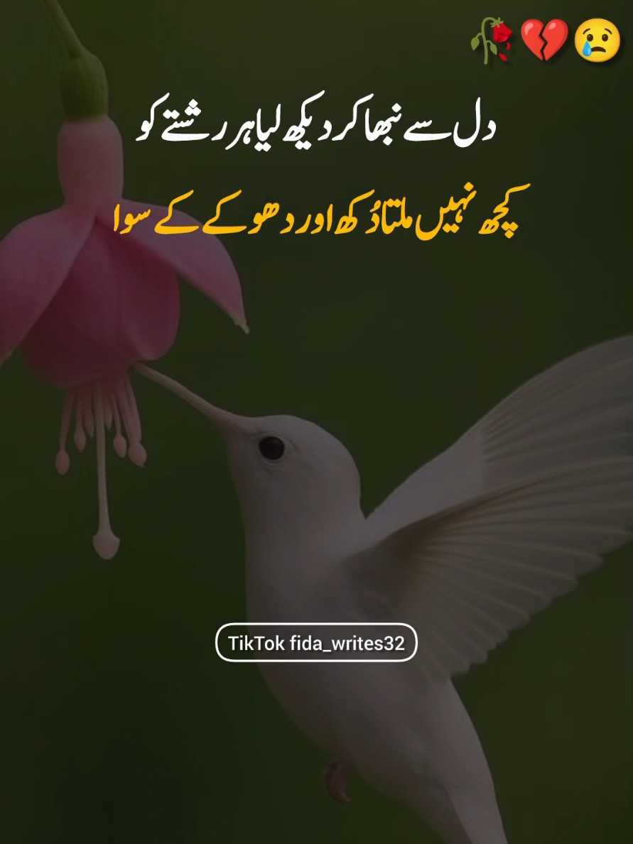 please don't under review my videos #foryou #foryoupage #fyp #gehri_line7 #romiwrites     
