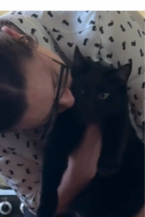 Baba needs kisses from Mom 😂 .#cat #rescuecats #babayaga #catsoftiktok #baba 