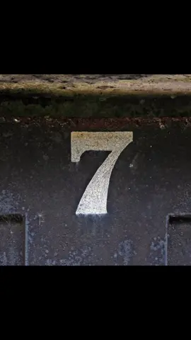 #7 