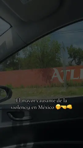 #vochoamarillo #humor 