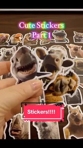 These have been great for sticker charts and rewards in my classroom!!! Check out all of SOYEAH’s stickers. Excellent deal for the packs. #sticker #stickers #rewardstickers #prizebox #classroomfun