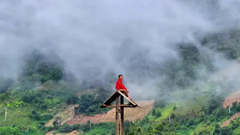 Vạn lý phong sương vạn lý sầu Tìm người trí kỷ biết tìm đâu..! #cuộcsốngđammê❤️❤️❤️ 