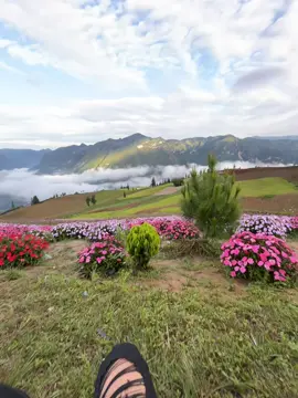 Bình yên quá hẹ hẹ…!