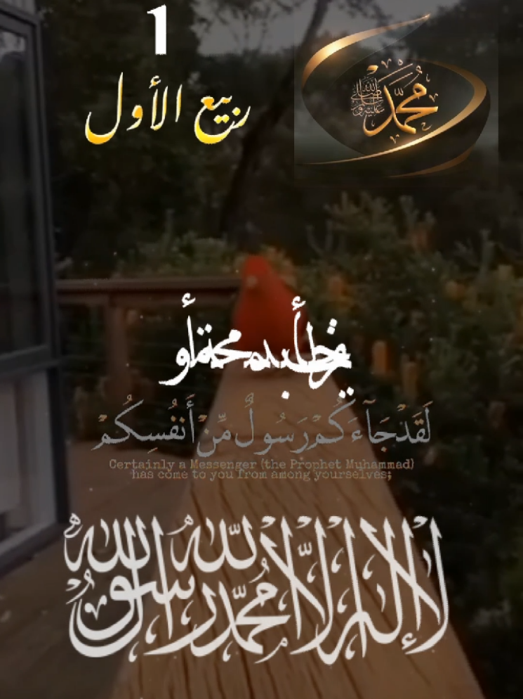 #CapCut #ربيع_الاول_مولد_الحبيب_سيدي_رسول_الله #عليه_افضل_الصلاه_والسلام 