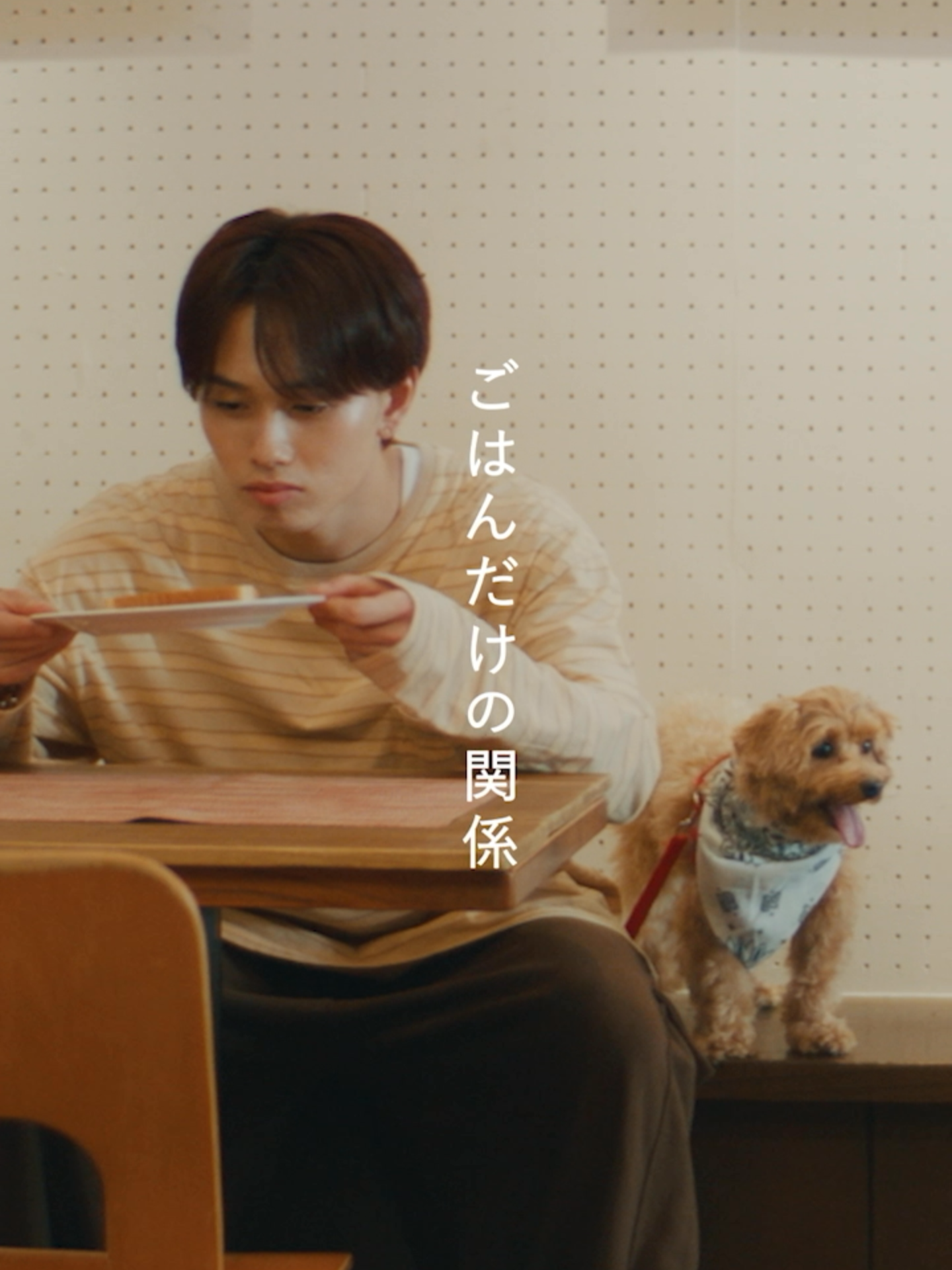🎞Episode of NINE LIVES ：「ごはんだけの関係」第1話🎞 Starring #マサヒロ 9月24日(水) Release 超特急 22ndSG「NINE LIVES」💿 予約受付中！ #超特急に九生あり #超特急_NINELIVES