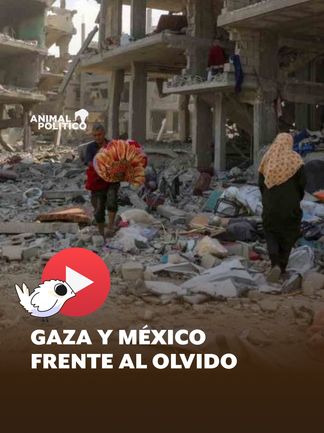 ¿En qué se parece el país de la 🍉 a nuestra crisis de desaparecidos? @namevdelang te explica.  #palestina #desaparecidos #gaza #mexico #noticias