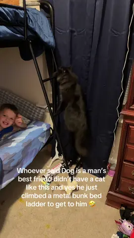 I’ve never seen a cat love a child like this one does! He sleeps on his arm when he goes to bed at night  and lets him cover them both up with a blanket and stays there all night ❤️ Cats are boys best friend 🥰 🐈‍⬛#cats #mansbestfriend #animals #kids #foryou 