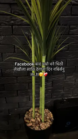#fyp #jibankc #fyppppppp #viral 