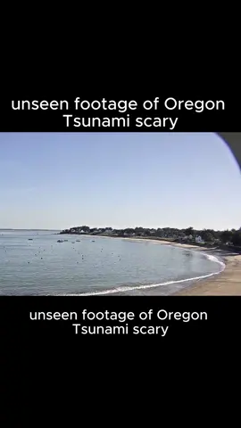 #tsunami #scary #tide #moment #world 