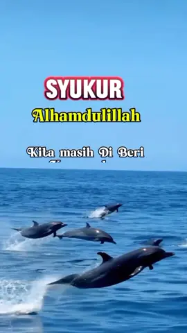 Assalamualaikum ☺️🙏  Selamat pagi 🌞❤️