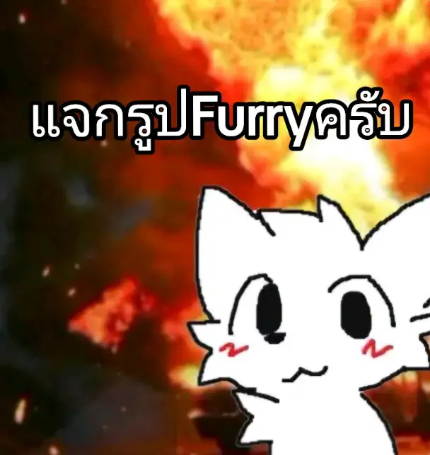 แจกรูปเฟอร์รี่ครับ ใครที่ต้องการจะไปตั้งโปรไฟล์เอาไปได้เลยนะครับ แต่ผมยังมีอีกเยอะ เลย เดี๋ยวรอคลิปต่อไปนะครับ จะมาแจกอีก❗️💫✨️