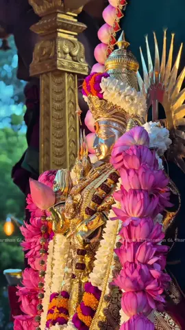 என்னம்மா கோவமா எங்களை பாரம்மா 🥹🙏🤲 தெல்லிப்பளை துர்க்கா தேவித்தாய் 🙏 #jaffna #thellipalai #ammansong #fyp #gltharshan 