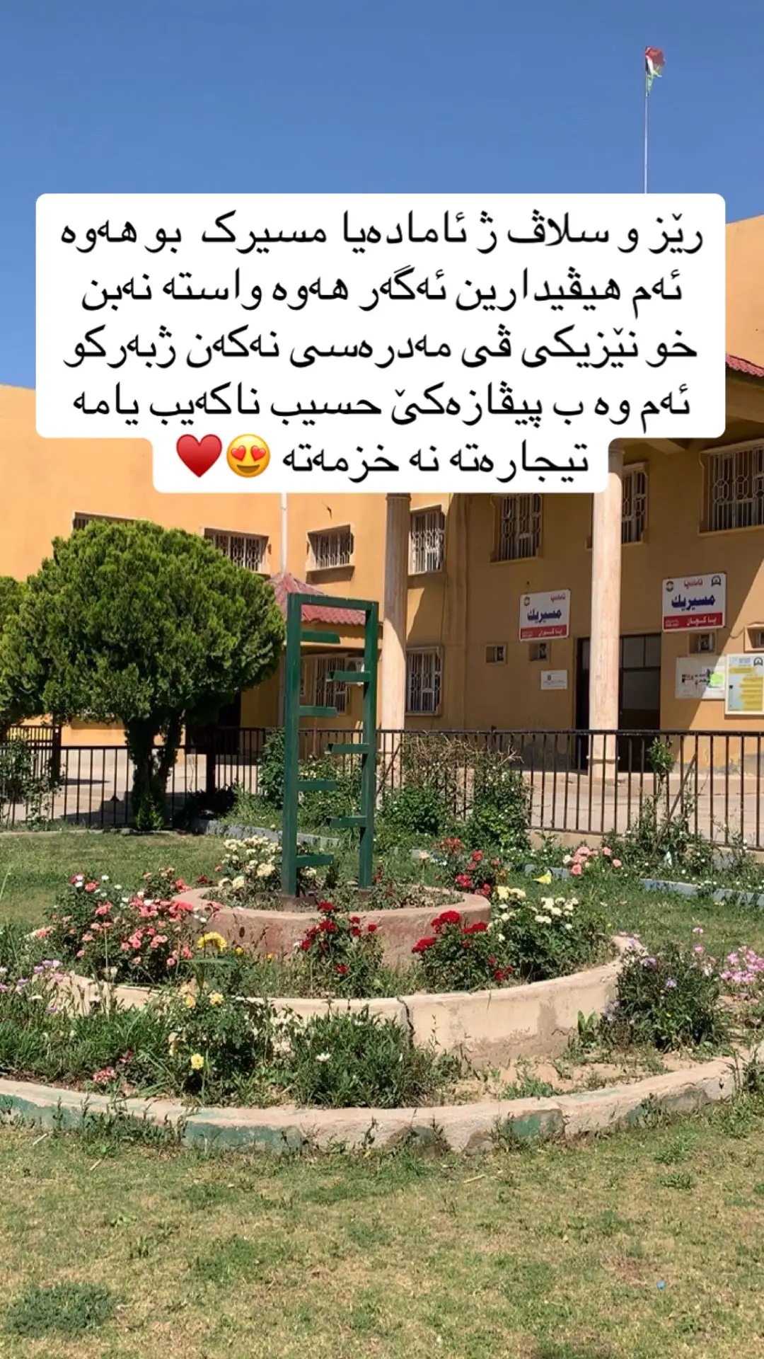 واستە نانو ماستە برا 
