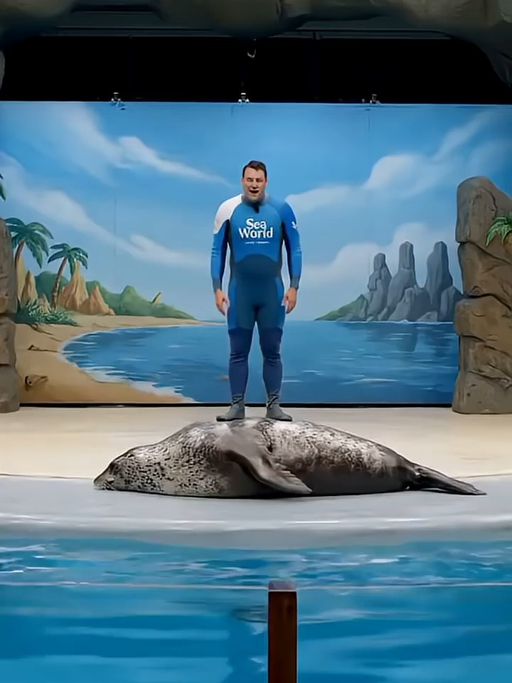 Why Did he Jump on the Seal 😳