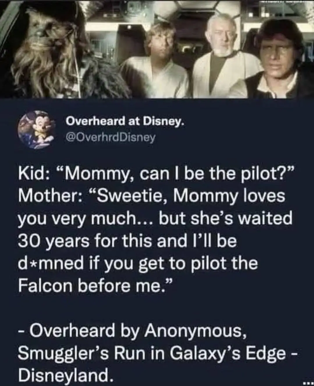 true story. when I went to Disney in Orlando in February of 2020 right before everything shut down I was alone I got to ride smuggler's run and there was a family behind me in my pod and they were like who wants to be the pilot and I just raised my hand and was like I'm going to be the pilot. I didn't wait for years not to fly the Falcon sorry kids you got your turn coming go be engineers. addendum I cried like a baby.