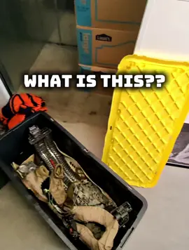 What is this? #tools #millitary #reseller 