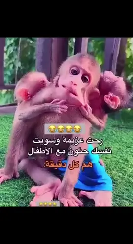 #اكسبلورexplore #fyp 