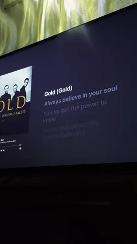gold #lyrics #fypシ #lyricsvideo #boostergold #musictok 
