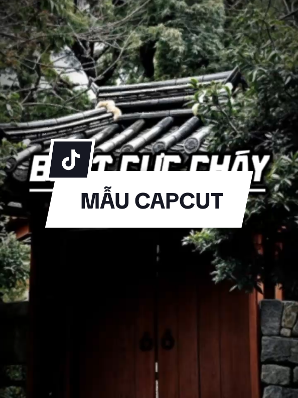 BEAT CỰC CHÁY #CapCut #amcutvn #xh 