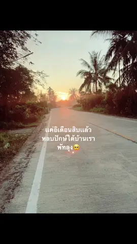 #เดือนสิบบ้านเรา #พัทลุง #หลบมาบ้านเรา 