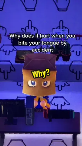 Why? #why #answer #question #questions #funny
