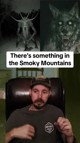 There's something in the Smoky Mountains. #scarystories #creepystorytime #spookystory #ghoststory #smokymountains 