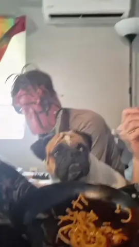 Pug’s Adorable Moments#dog#Love #fyp#doglife #pug 