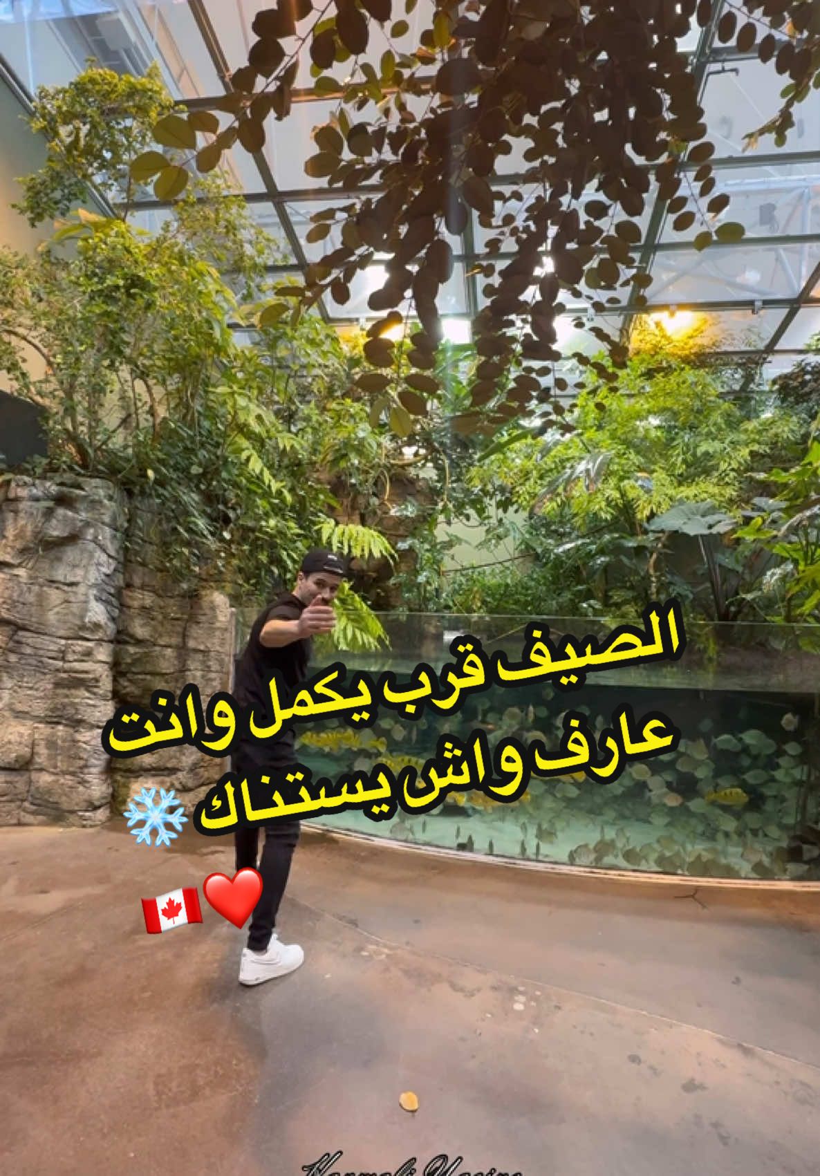 الصيف قرب يكمل وانت عارف واش يستناك 🇨🇦❤️❄️ . . . #canada🇨🇦 #explore #algerie🇩🇿_maroc🇲🇦_tunisie🇹🇳 #canadatiktok🇨🇦 #québec #marocaine🇲🇦 #tourisme #québec #dzair🇩🇿 #montrealcity  @Harmali Yacine 🇨🇦🇩🇿  @Harmali Yacine 🇨🇦🇩🇿  @Harmali Yacine 🇨🇦🇩🇿 