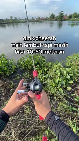 Tidak untuk di pecut tpi main lembut masih bisa jauh #dmk #gomexus #cheetah #promomakangajian 
