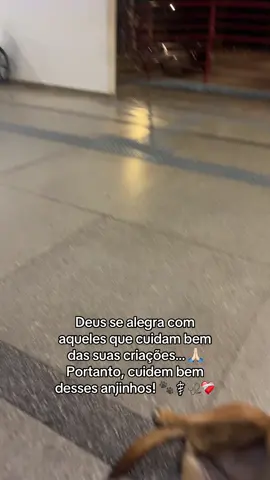 Se somos todos obra do mesmo Criador, então amar e cuidar é nosso maior dever! 🐾❤️🙏🏻 #explorer #fypageシ #viral #fy #foryou 