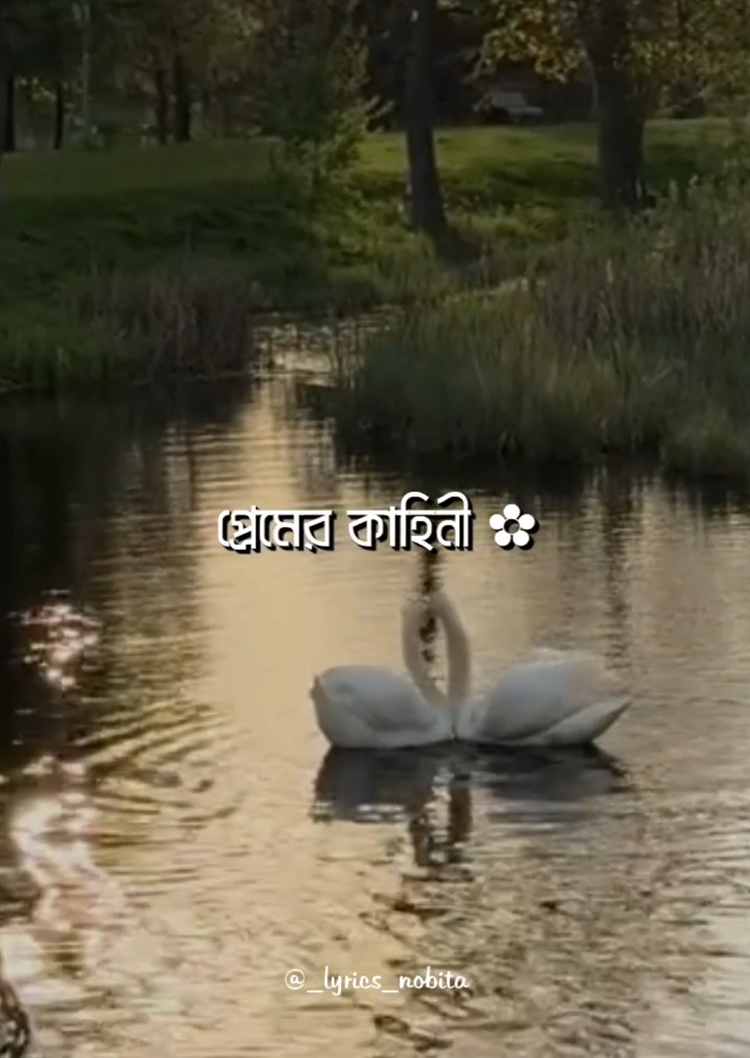- কিছু পথ যে থেমে যায় 🙂 - বাকি থেকে যায় প্রেমের কাহিনী 🌷 . . #foryou #lyrics #_lyrics_nobita_ #exe_shafi #aesthetic 
