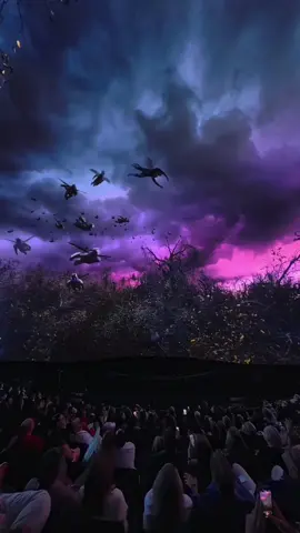 Winged Monkeys are closer than they appear ⚠️🐒 #WOZatSphere 🎥: @Alive Coverage 
