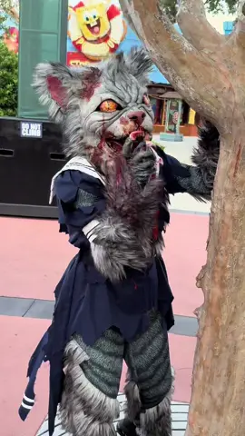 The Catlady of Crooked Lane (Horror Nights 2025) #hhn #halloweenhorrornightsorlando #catlady #hhnorlando 
