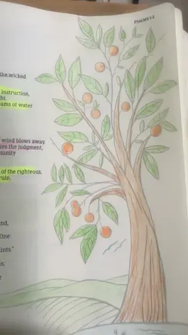 Psalm 1 #psalms #bible #christiantiktok #fyp 