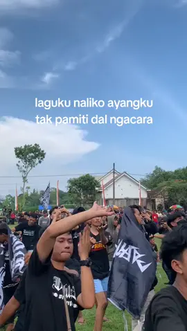 bar kui dinesoni peng 7🤣 #boshtertulungagung 