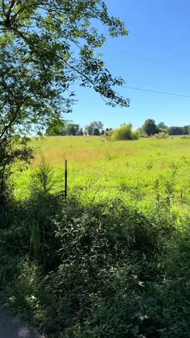 This is where I begin to feel whole again. #RideForTheLoveOfIt #CountryLiving #FromDreamToReality 