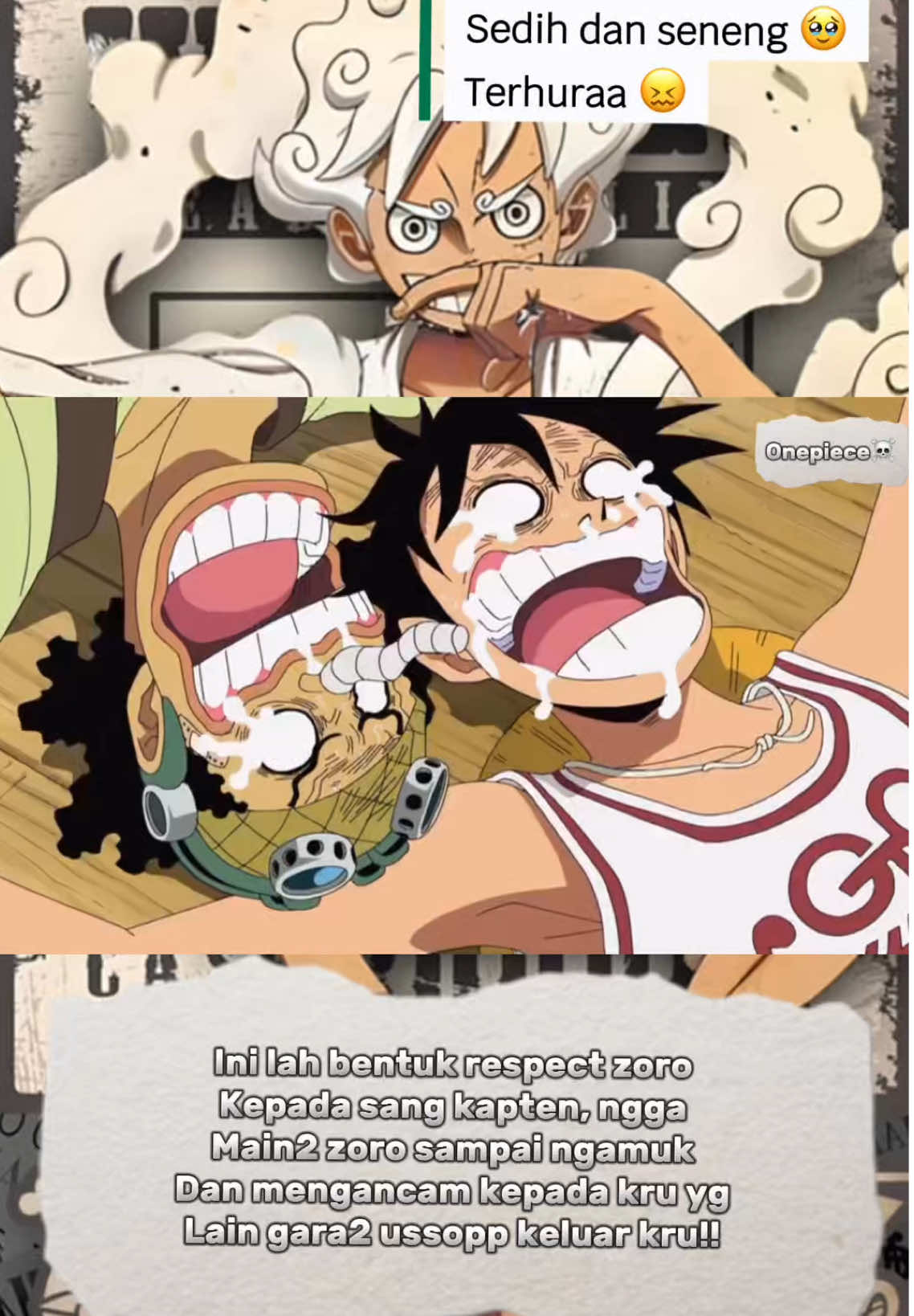 Bentuk respect zoro kepada kapten !! 💀💀 #onepiece  #luffy  #anime  #zoro  #ussop 
