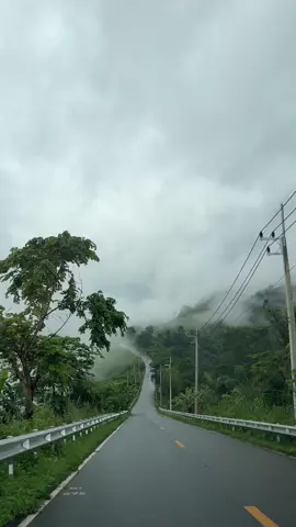 ถนนลอยฟ้า เจอหมอกคือฟินสุดๆ🌫️⛰️🌧️🌳 #ถนนลอยฟ้า #น่าน #ถนนลอยฟ้าน่าน #น่านหน้าฝน #ดอยภูคา 