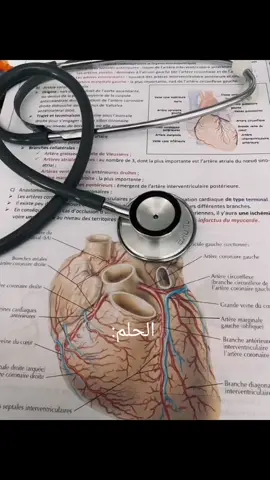 اهخخخخ بنات الحلم متا يتحقق بس ادعولييي تكفووننن😭😭❤️. #مالي_خلق_احط_هاشتاقات🧢 #دكتورت طب #شعب_الصيني_ماله_حل #لايك #اكسبلورexplore 