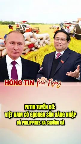 Vẫn là người anh em tốt #kuwinhongtinmoingay #vietnam #nga #putin #chinhtri 