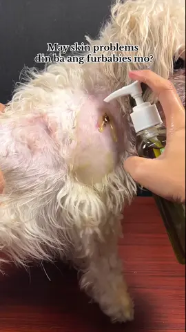 A must have for furparents, dapat may naka stock kayong madre de cacao oil para sa biglaang skin problems ng furbabies nyo ✨ @WOOF MDC  #madredecacaooil #woofhealingoil #madredecacaoforpets #petskinproblems 