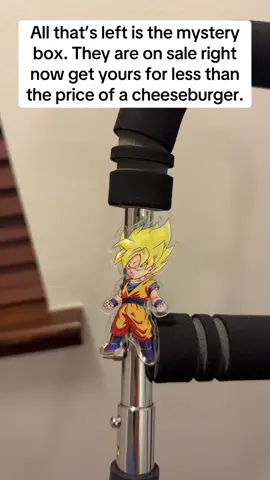 #dragonballz #goku #gokusolos #tiktokshopcreatorpicks #creatorsearchinsights 