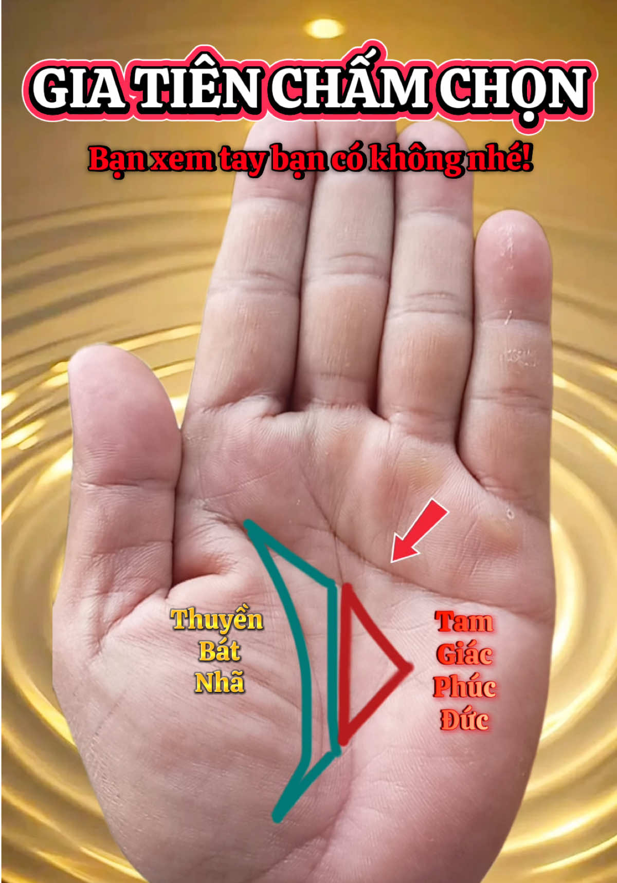 Thuyền bát nhã + Tam giác phúc đức -> Gia tiên chấm chọn #vậnmệnhradio #xemboi #LearnOnTikTok #boichitay #xemchitayonline 
