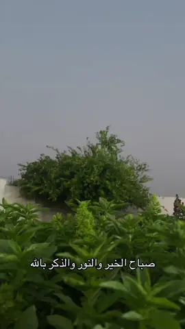 سبحان الله وبحمده سبحان الله العظيم سبحان الله العظيم رب العرش العظيم 🌹🌹🌹🌹🌹🌹🌹