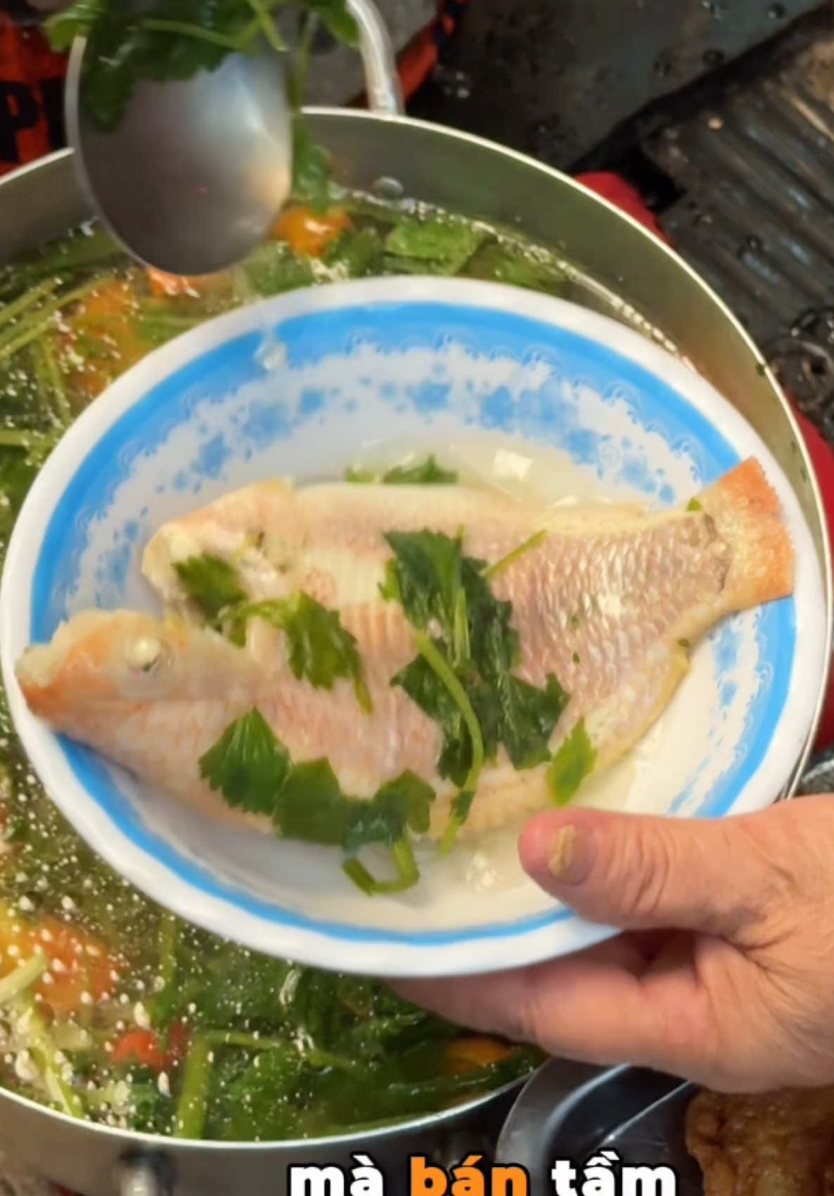 Quán cơm của cô 8 Lệ bán ngay trung tâm Quận 1 mà cô có tâm và rất dễ thương luôn #didauando #LearnOnTikTok #foodfestontiktok #saigon #amthuc 