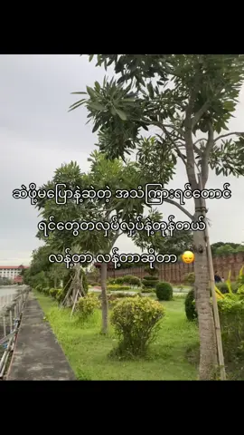 နင်တို့ဘဲ ရိုင်းနေကျတာ “ငါကလူလိမ်မာလေး”🙂‍↔️#fypage 